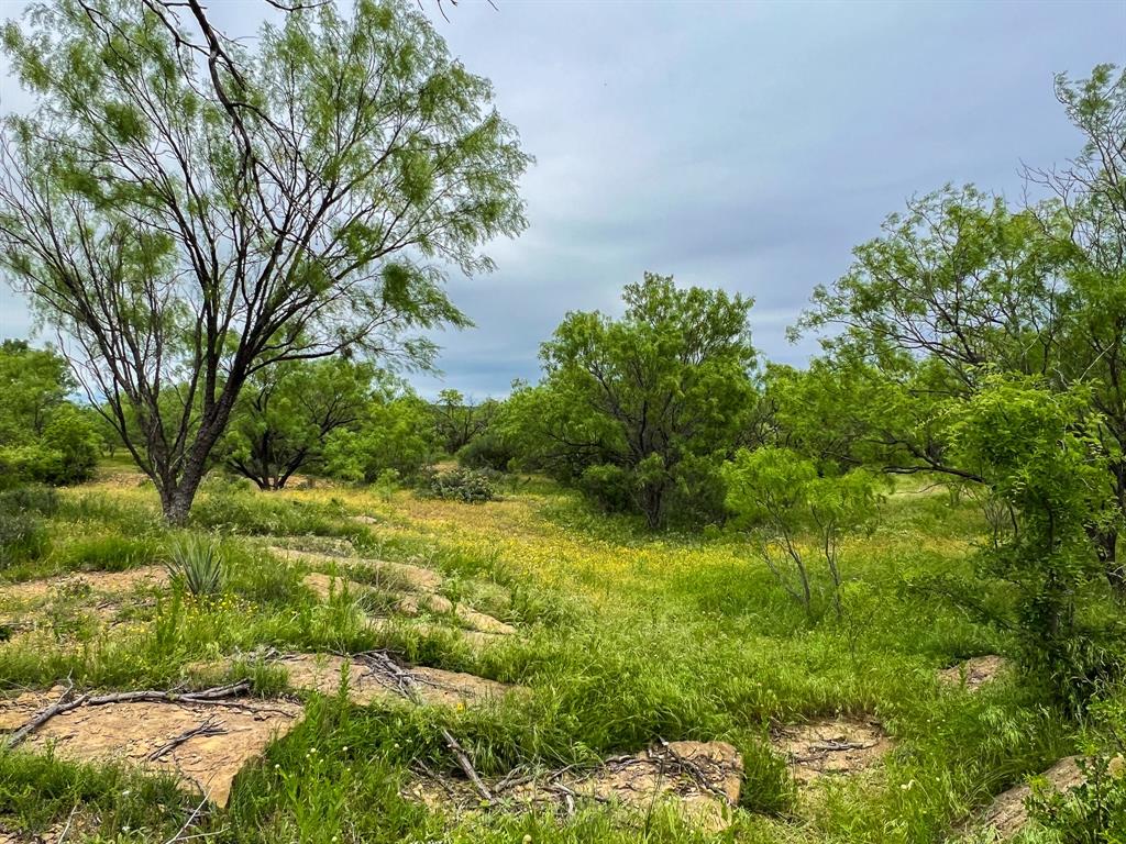 1570 Cr383 Road Property Photo 1