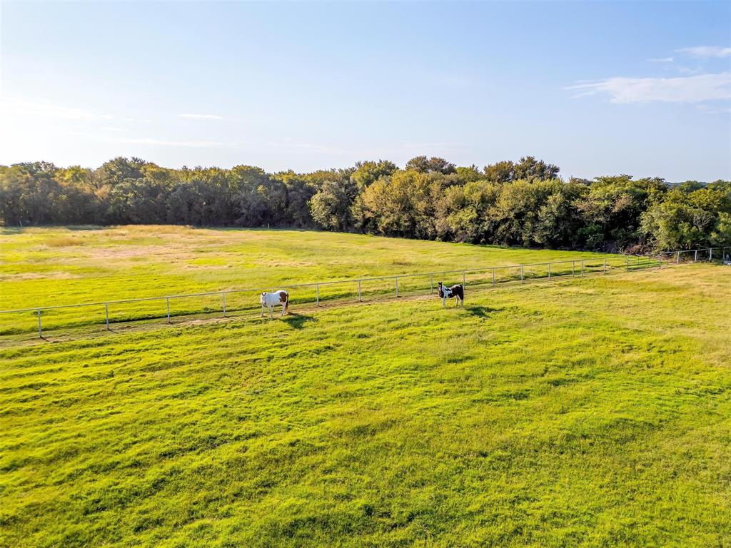 1824 Fm 731 Property Photo 8