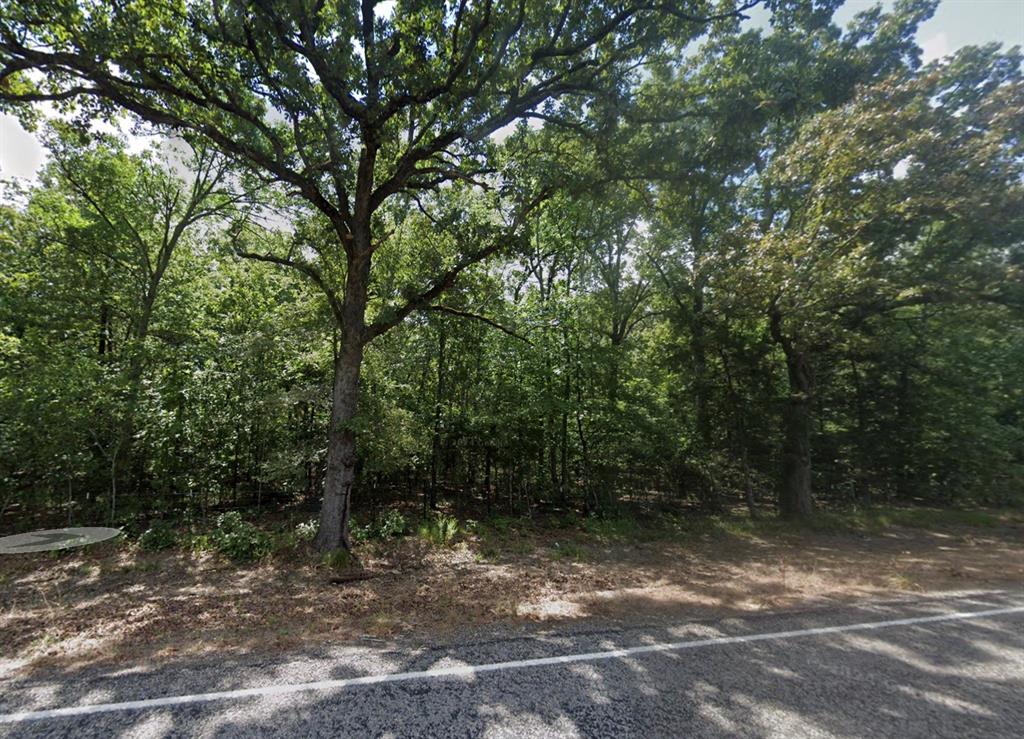 Tbd Lot 1 Fm 909 Property Photo