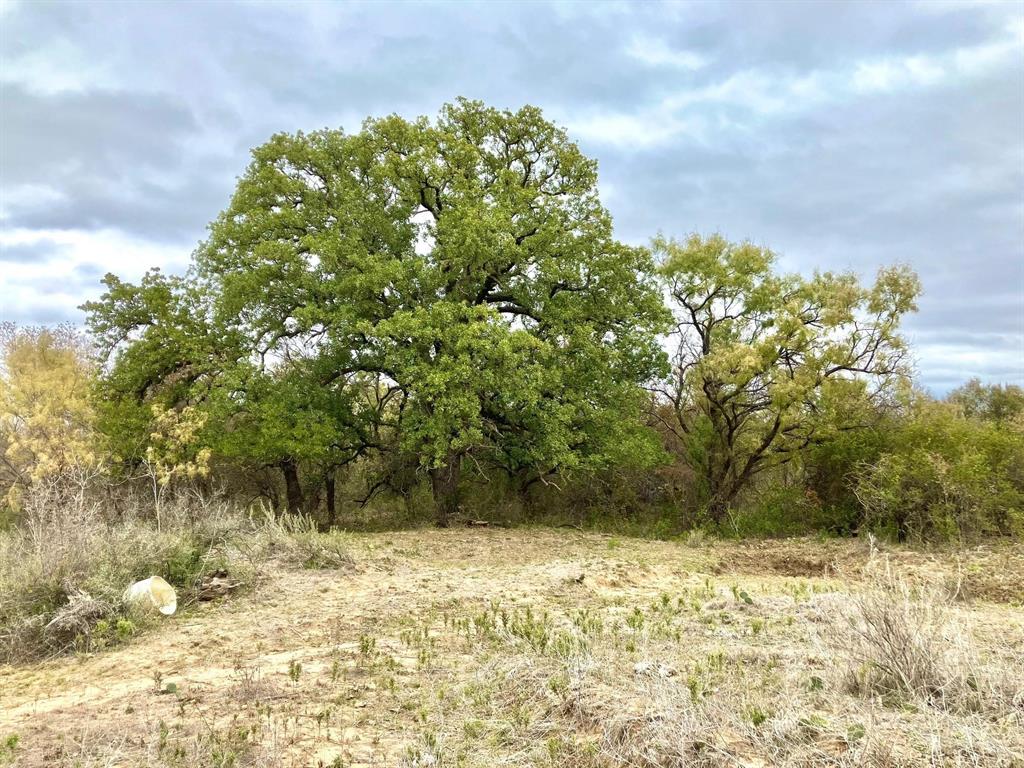 Tbd Lot 10 Fm 880 Property Photo
