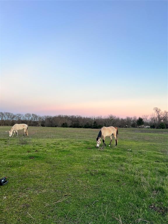 2542 Private Road Property Photo