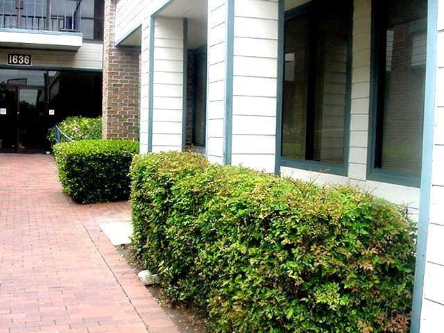 1638 W Irving Boulevard Property Photo 3