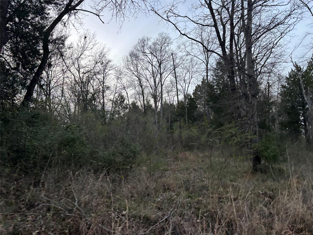 157 Vista Drive Property Photo