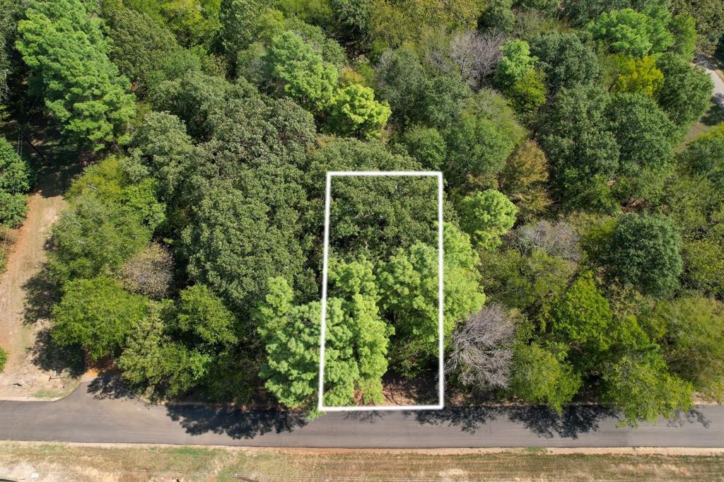 Tbd Angelina Property Photo