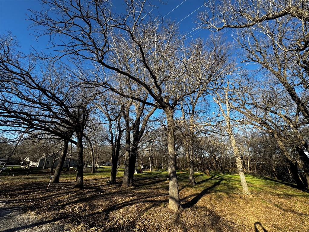 175 Quail Haven Street Property Photo