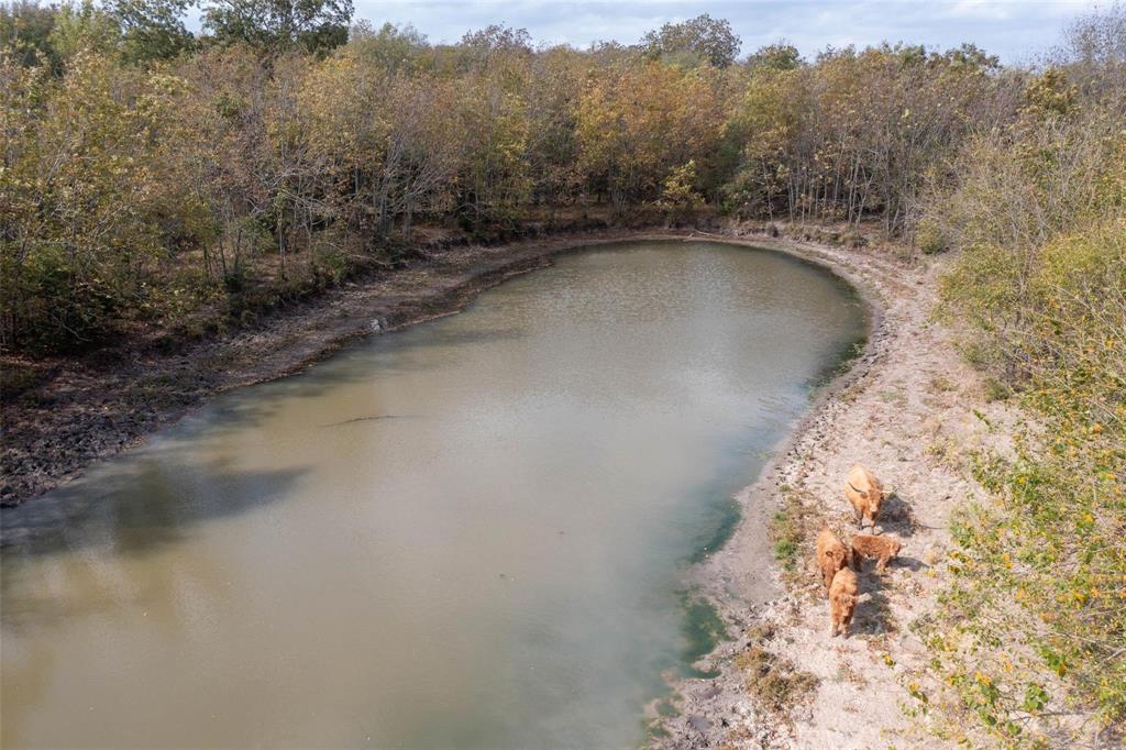 4081 Fm 2736 Property Photo