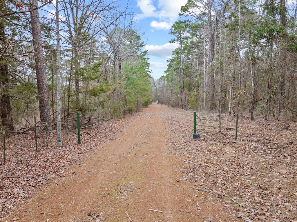 893 County Road 4112 Property Photo