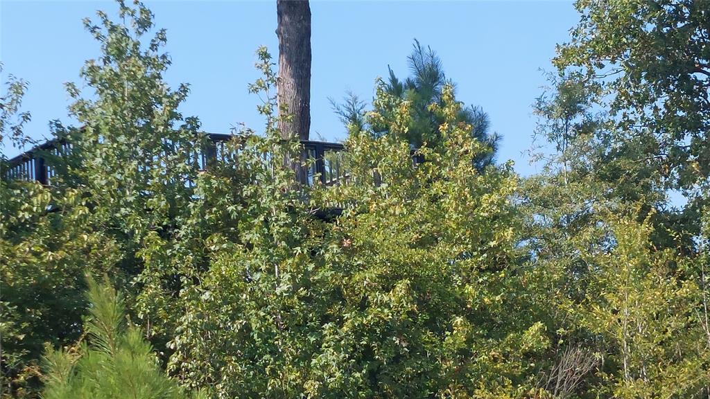 92ac County Rd 4171 Property Photo 10