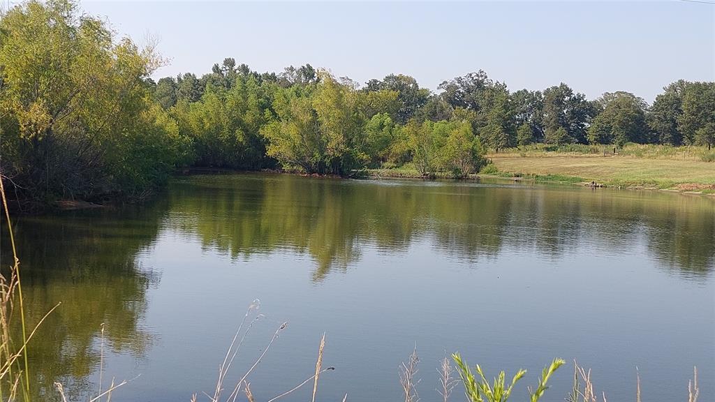 92ac County Rd 4171 Property Photo 11