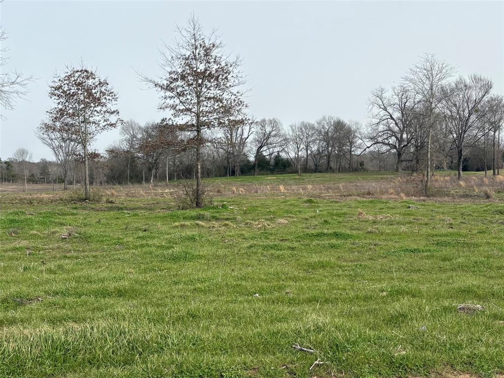 Tbd County Road 2425 Property Photo