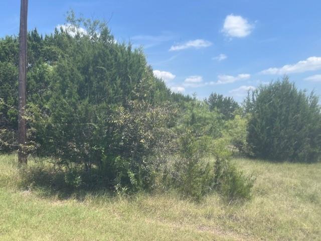 39333 Cedar Trail Property Photo 2