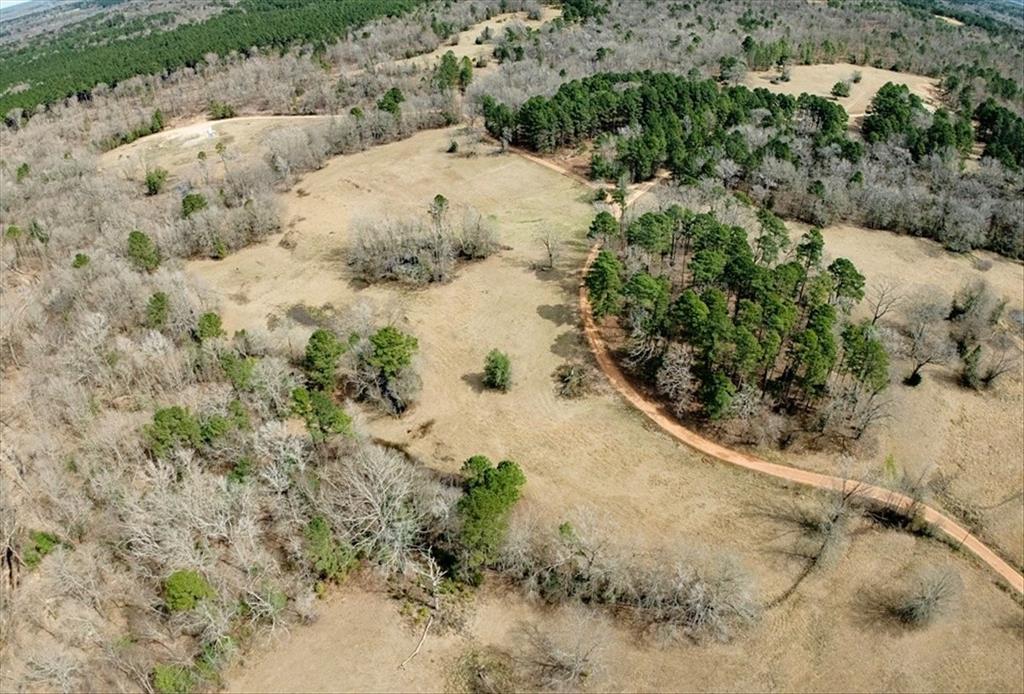 1425 State Highway 300 Property Photo