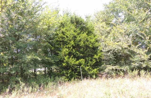 Tbd County Road 3303 Property Photo 6