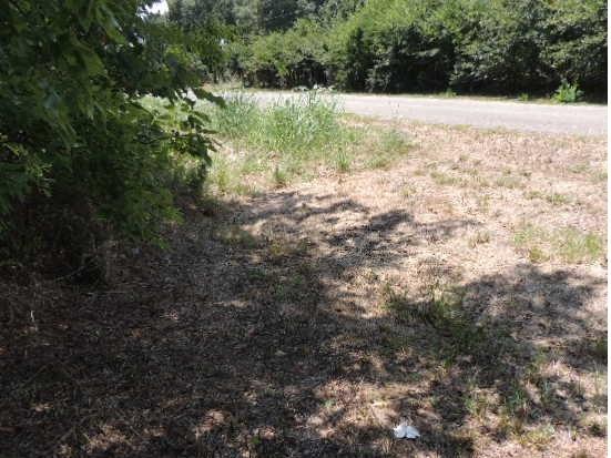 Tbd County Road 3303 Property Photo 7