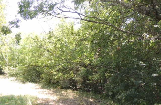 Tbd County Road 3303 Property Photo 9
