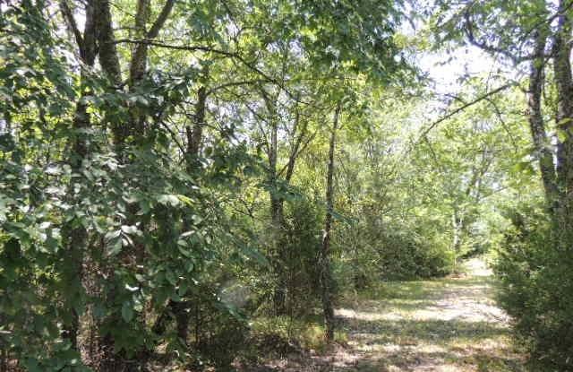 Tbd County Road 3303 Property Photo 10