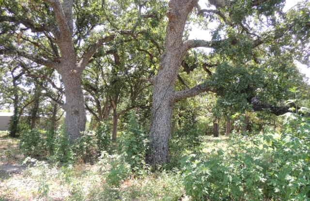 Tbd County Road 3303 Property Photo 12