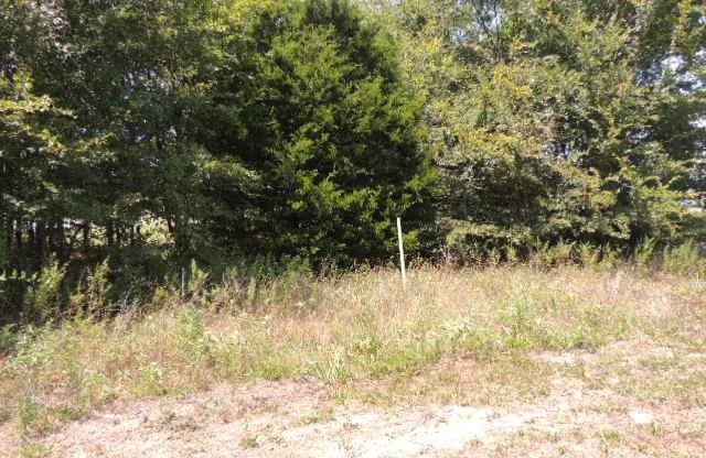 Tbd County Road 3303 Property Photo 14