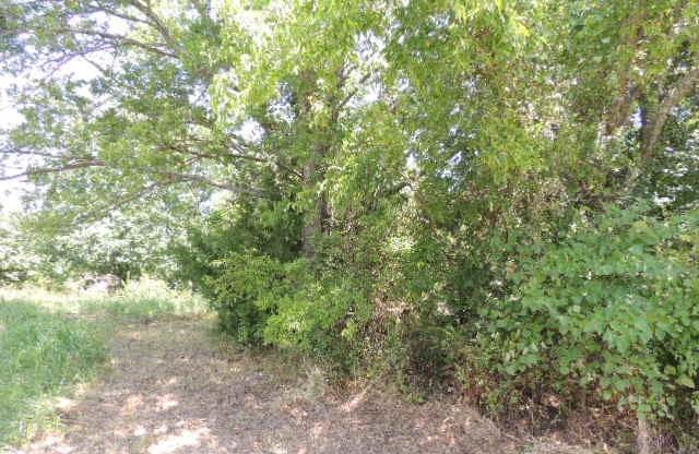Tbd County Road 3303 Property Photo 20