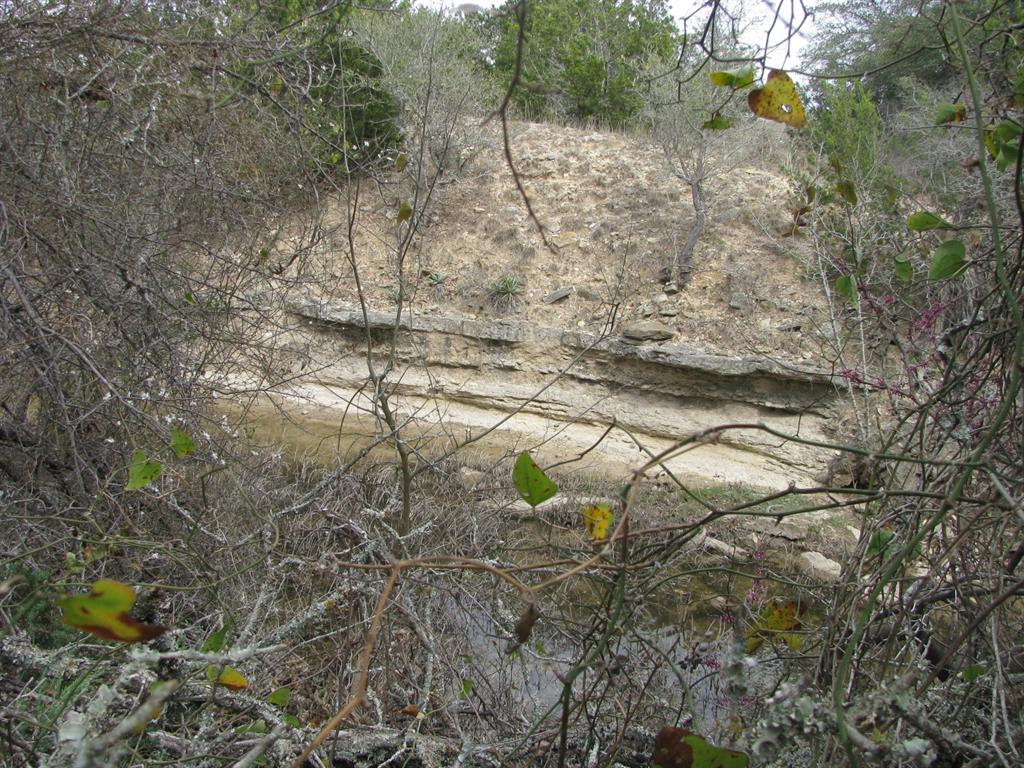 135 Acres Tbd Harmon Road Property Photo 22