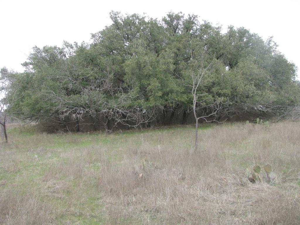 48 Acres Tdb Harmon Road Property Photo 10