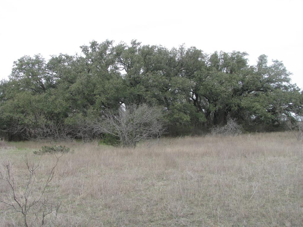48 Acres Tdb Harmon Road Property Photo 13