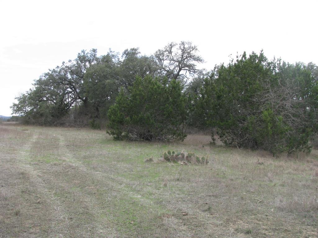 48 Acres Tdb Harmon Road Property Photo 16