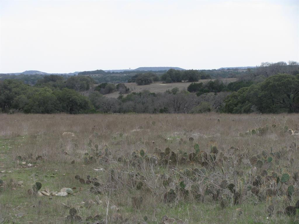 48 Acres Tdb Harmon Road Property Photo 17