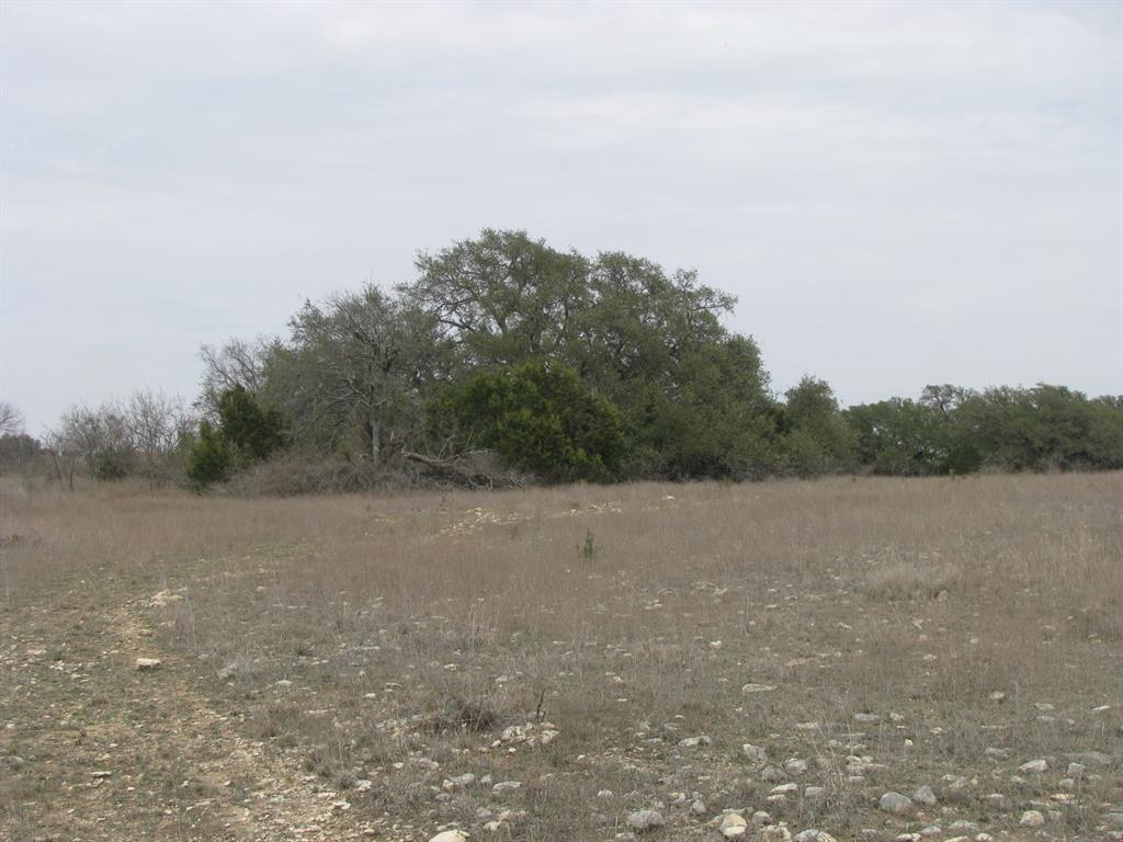 48 Acres Tdb Harmon Road Property Photo 19