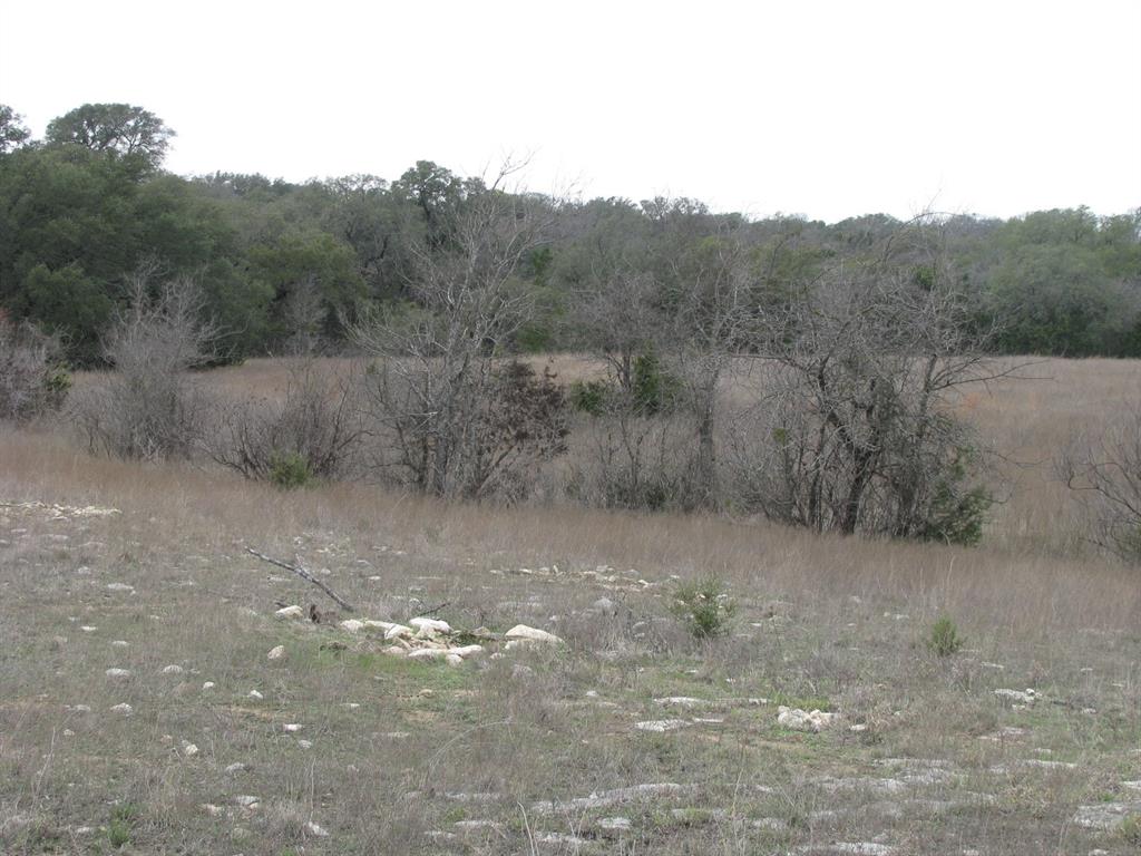 48 Acres Tdb Harmon Road Property Photo 21