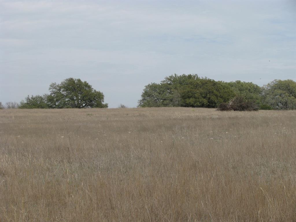 48 Acres Tdb Harmon Road Property Photo 23