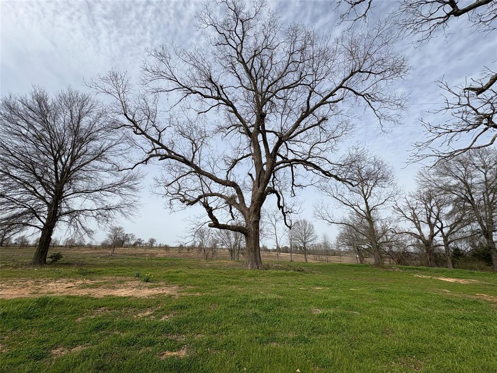 Tbd County Road 2425 Property Photo