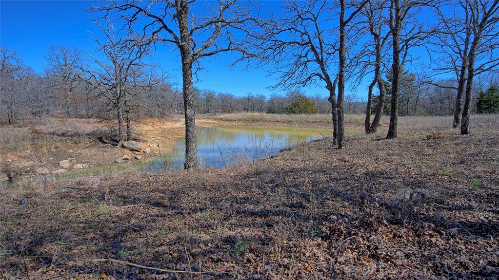 3246 Fm-1806 Property Photo