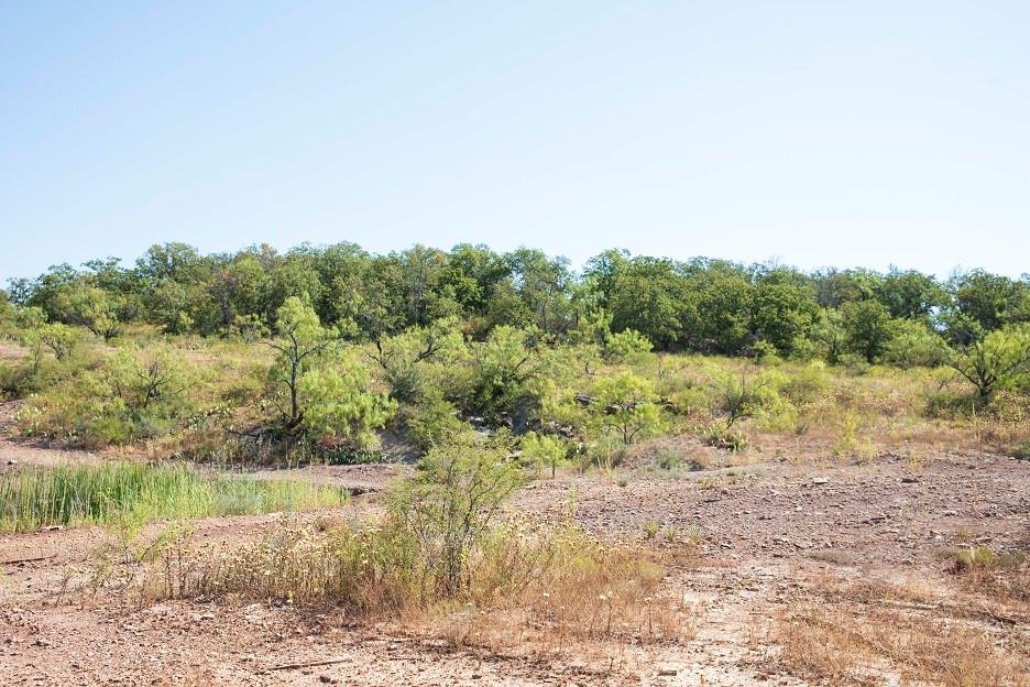 Tbd County Road 149 Property Photo