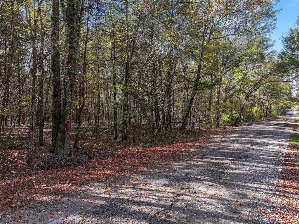 Tbd Vz County Road 3117 Property Photo