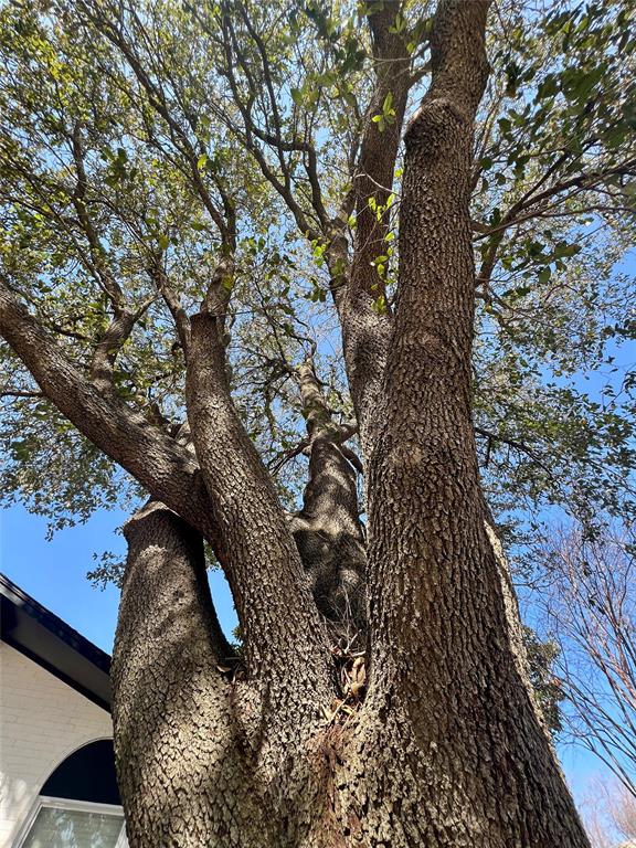 1315 Springbrook Drive Property Photo 31