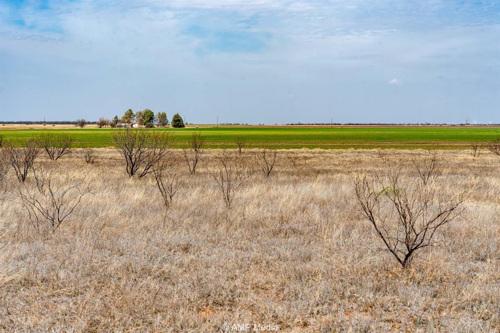 Tbd County Road 364 Property Photo