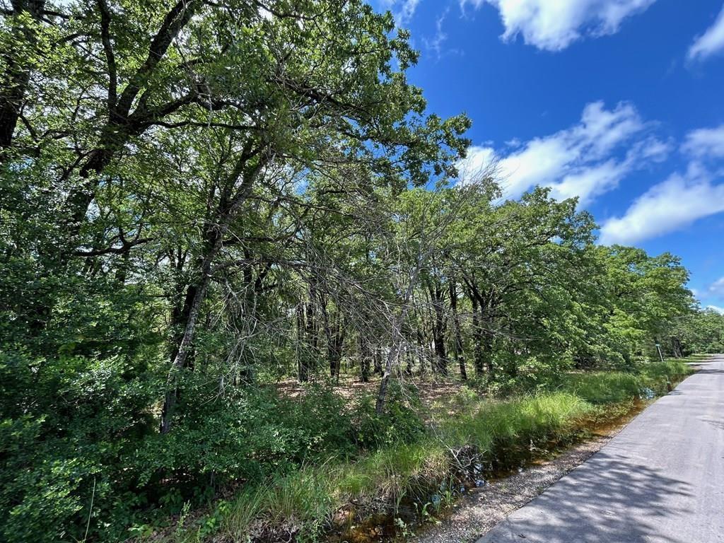 Lot 435 Cortez Property Photo