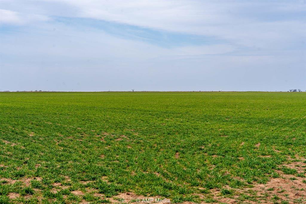 Tbd County Road 381 Property Photo