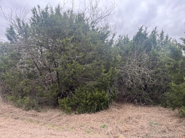 36047 Cedar Ridge Drive Property Photo