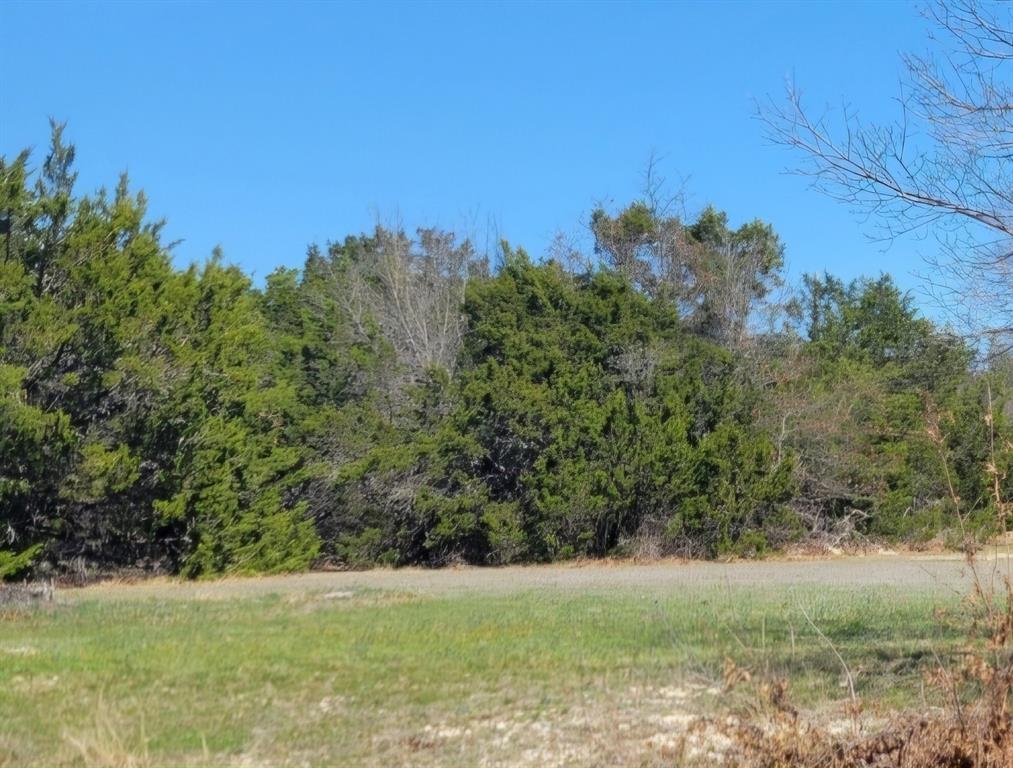 126 Cedar Creek Drive Property Photo