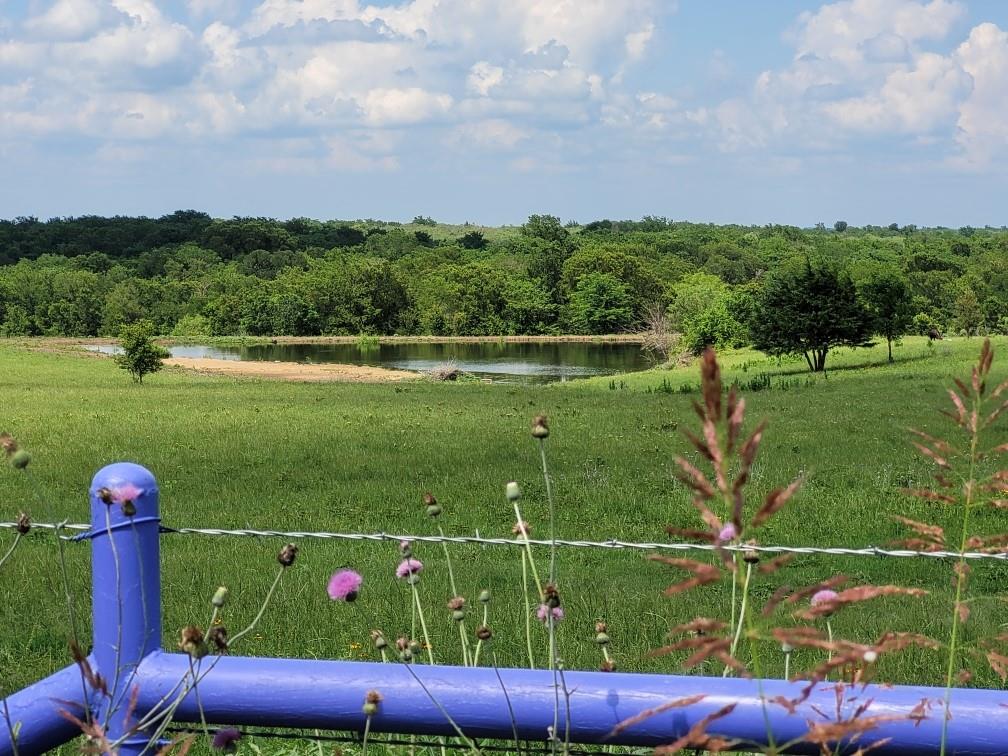 Tbd County Road 212 Property Photo