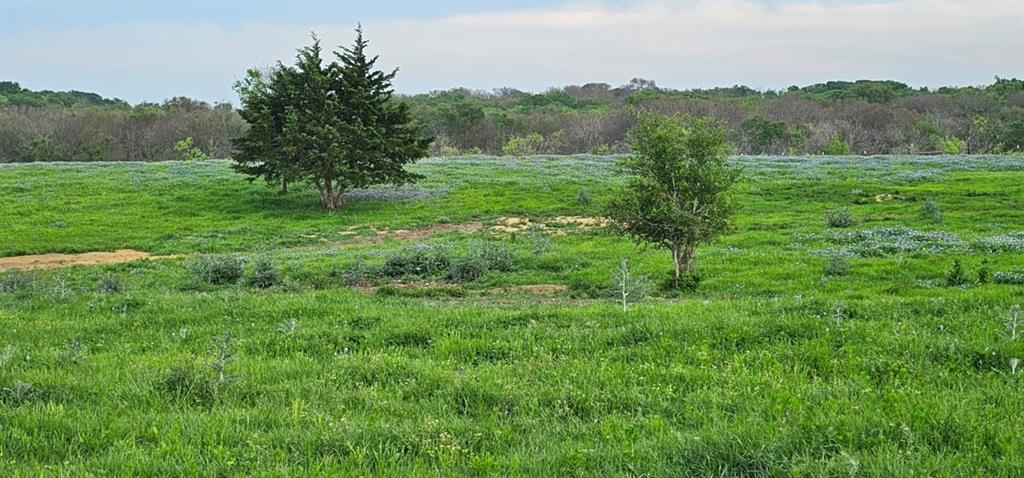 Tbd County Road 212 Property Photo 4
