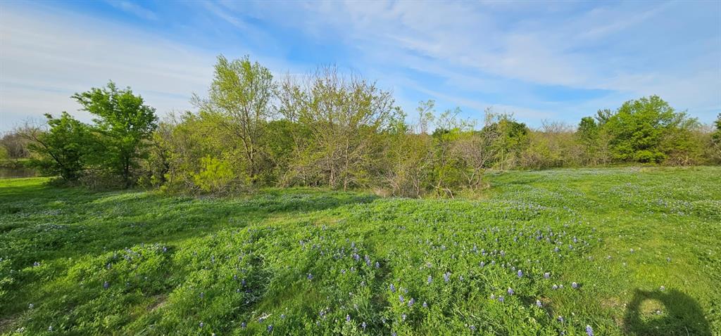 Tbd County Road 212 Property Photo 7