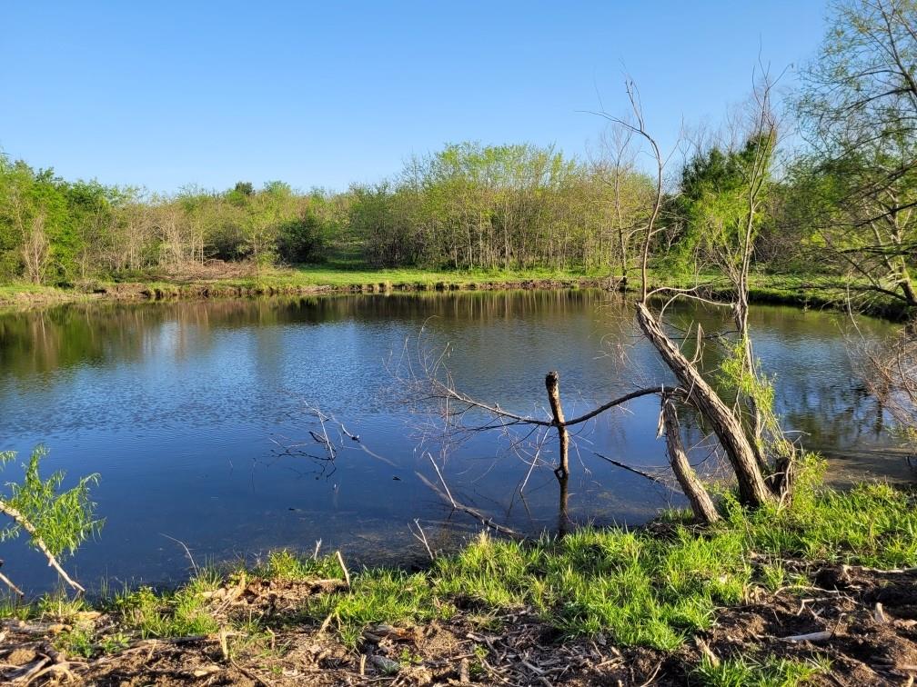 Tbd County Road 212 Property Photo 10