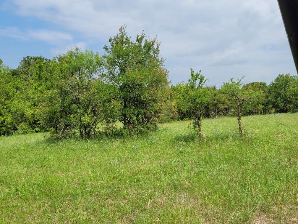 Tbd County Road 212 Property Photo 15