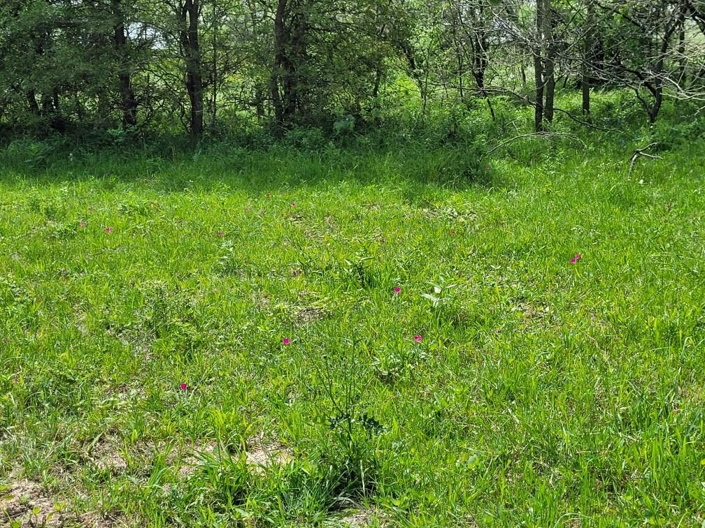 Tbd County Road 212 Property Photo 16