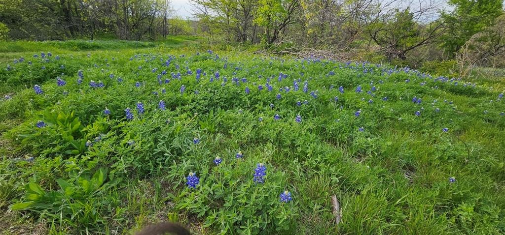 Tbd County Road 212 Property Photo 18