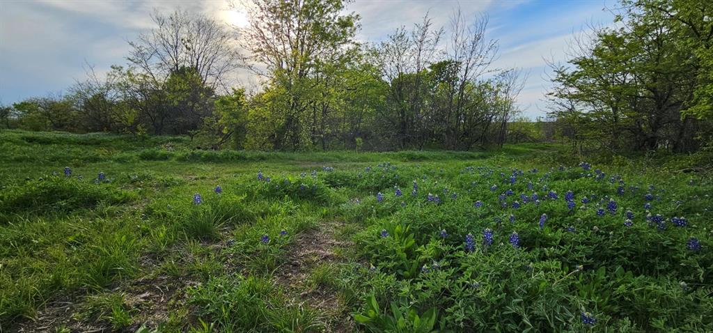 Tbd County Road 212 Property Photo 19