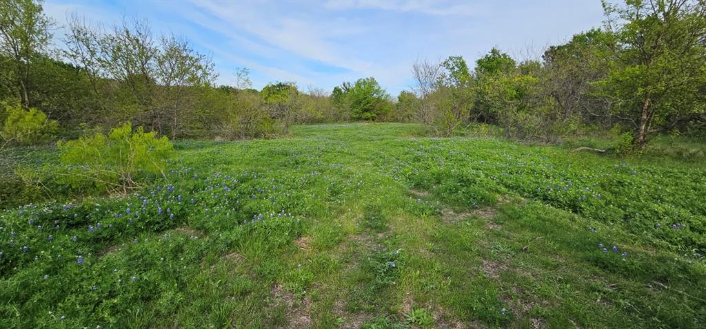 Tbd County Road 212 Property Photo 20